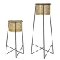 P/VASI COPPIA EXY 37x76 - 27x51 cm